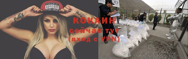 круглые Магас